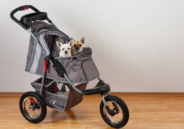 Pet Strollers & Carriers