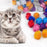 Cat Toys Interactive Ball Training Toy for Pet Kitten Interactive Sound Ring Paper Playing Ball Cat Accessories - Small to Tall Pet Co.