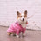 High Quality Waterproof Pet Dog Coat for Small Medium Large Dogs Windproof Jacket Dog Raincoat Dog Sport Hoodies Pet Clothes - Small to Tall Pet Co.