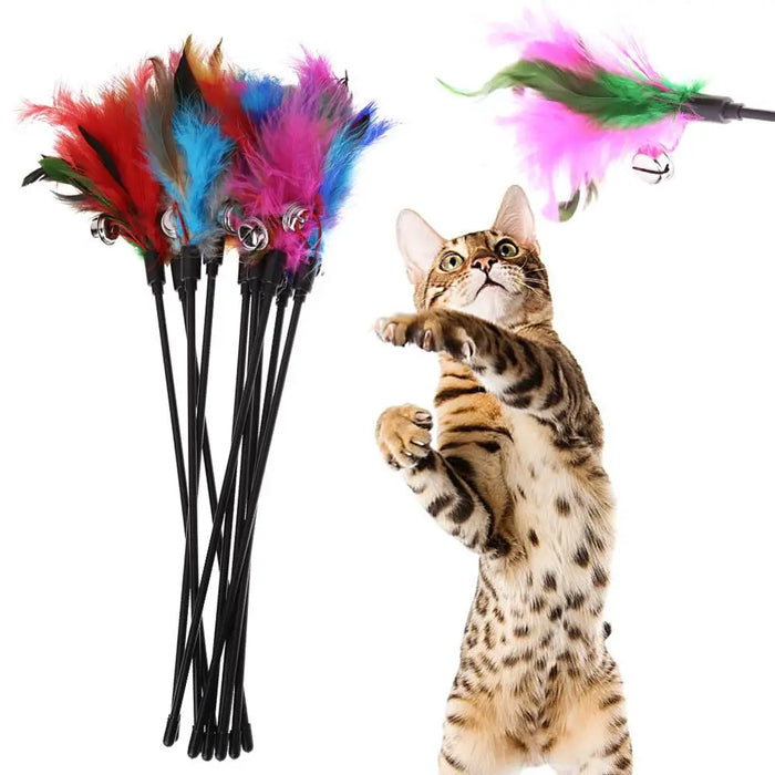 5pcs Funny Kitten Cat Teaser Interactive Toy Rod with Bell and Feather Toys For Pet Cats Stick Wire Chaser Wand Toy Random Color - Small to Tall Pet Co.