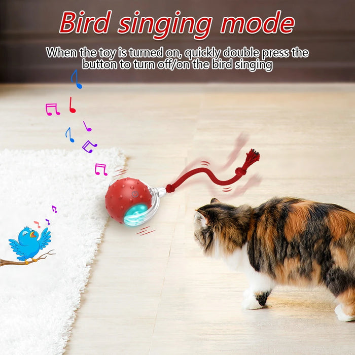 Interactive Cat Toy Ball Super Drive Cat Rolling Balls with Bird Chirping Motion Activated Sensor Pet Kitten Teaser Game Toys - Small to Tall Pet Co.