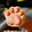 Freeze-dried Cat Claws With High-quality Meat Keep Healthy And Active Snacks For Cats Dogs Delicious Pet Supplies