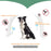 Dog Anti Flea And Ticks Cats Collar Pet 8Month Protection Retractable Pet Collars For Puppy Cat Large Dogs Accessories