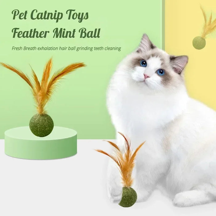 Pet Catnip Toys Cat Mint Ball Edible Catnip Ball Safety Healthy Cat Mint Cats Home Chasing Game Toy Products Clean Teeth - Small to Tall Pet Co.