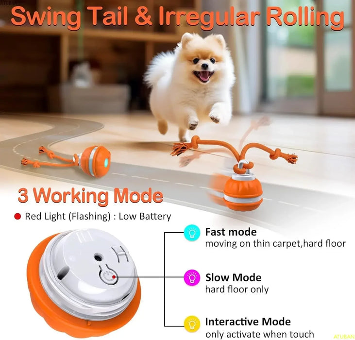 Peppy Pet Ball for Dogs,Dog Interactive Toys Dog Ball,Motion Activate Rolling Ball for Puppy/Small Dogs,Automatic Moving Dog Toy - Small to Tall Pet Co.