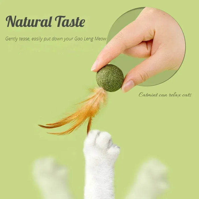 Pet Catnip Toys Cat Mint Ball Edible Catnip Ball Safety Healthy Cat Mint Cats Home Chasing Game Toy Products Clean Teeth - Small to Tall Pet Co.