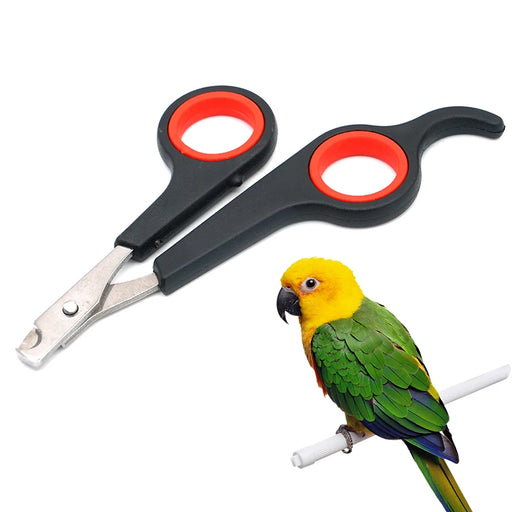 Pet Bird Parrot Small Animals Accessory Grooming Tool Nail Scissors Clipper Black And Red - Small to Tall Pet Co.