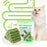 Cat Grass Teething Stick Cat Grass Stick Catnip Toys Sticks Indoor Kitten Grass Cats Promotes Digestive Natural Teeth Health - Small to Tall Pet Co.