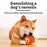 Smart Dog Toy Ball Electronic Interactive Pet Toy Moving Ball USB Automatic Moving Bouncing for Puppy Birthday Gift Cat Product - Small to Tall Pet Co.