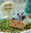 1-4Pcs Kawaii Cat Ornament Garden kitten Toy statue Gift For Kids Children Baby Room Decoration Miniature Figurines Home Decor - Small to Tall Pet Co.