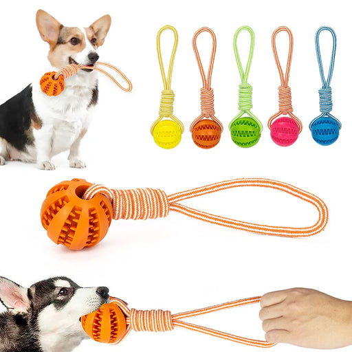 Pet Treat Balls with Rope Interactive Dog Rubber Leaking Balls Toy for Small Large Dogs Chewing Bite Resistant Toys Pet Supplies - Small to Tall Pet Co.