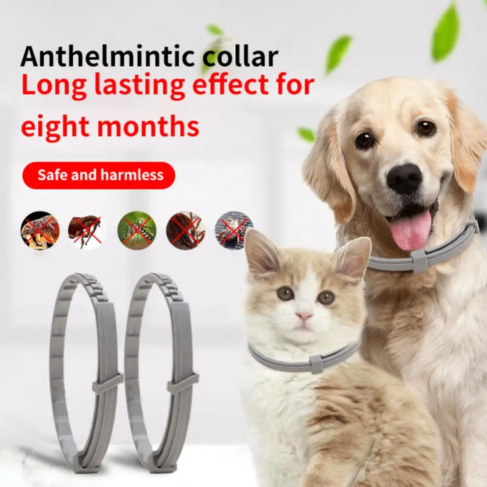 Dog Anti Flea And Ticks Cats Collar Pet 8Month Protection Retractable Pet Collars For Puppy Cat Large Dogs Accessories