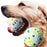 Bite Resistant Solid Dog Ball Toys for Small Large Dogs High Elasticity E-TPU Pet Chew Ball Toy Non Squeak Interactive Puppy Toy - Small to Tall Pet Co.