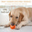 Smart Dog Toy Ball Electronic Interactive Pet Toy Moving Ball USB Automatic Moving Bouncing for Puppy Birthday Gift Cat Products - Small to Tall Pet Co.