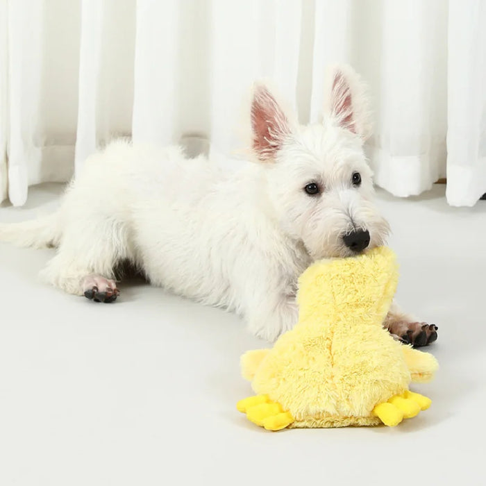 Dog Plush Sound Toy Yellow Duck Pet Interactive Training Stuffed Toys Cute No Fill Chewing Pet Supplies For Cat - Small to Tall Pet Co.