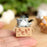 1/4 Kawaii Mini Cat Ornament Garden Kitten Statue Gift for Kids Children Baby Room Decoration Toy Miniature Figurines Home Decor - Small to Tall Pet Co.