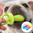 Pet Toys for Small Dogs Rubber Resistance To Bite Dog Toy Teeth Cleaning Chew Training Toys Pet Supplies Puppy Dogs - Small to Tall Pet Co.