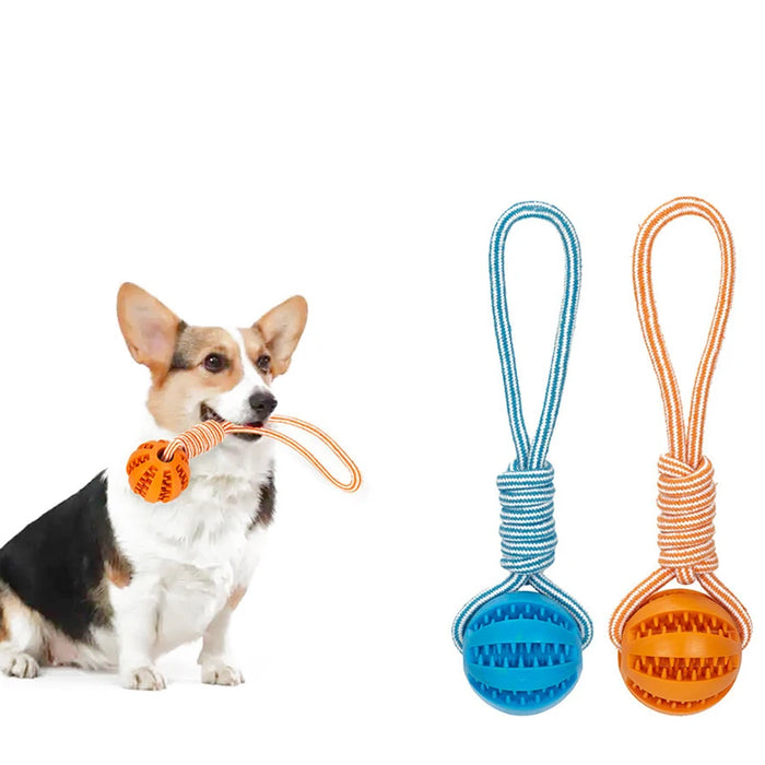 Pet Treat Balls with Rope Interactive Dog Rubber Leaking Balls Toy for Small Large Dogs Chewing Bite Resistant Toys Pet Supplies - Small to Tall Pet Co.