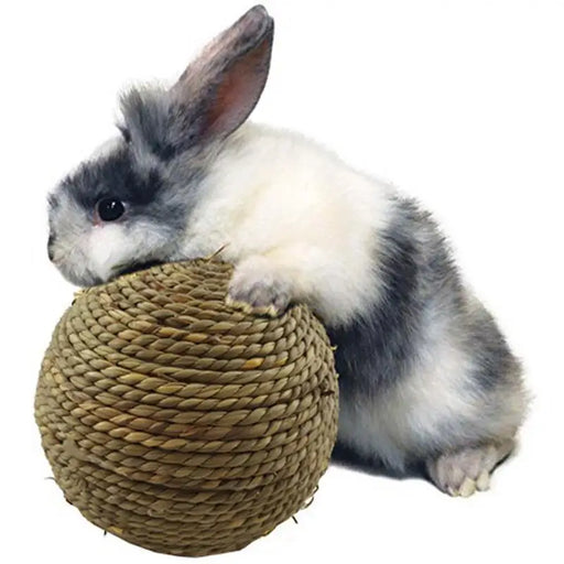 6cm Pet Chew Toy Natural Grass Ball For Rabbit Hamster Guinea Pig For Tooth Cleaning Supplies Small Pet Toys Rabbit Accessories - Small to Tall Pet Co.