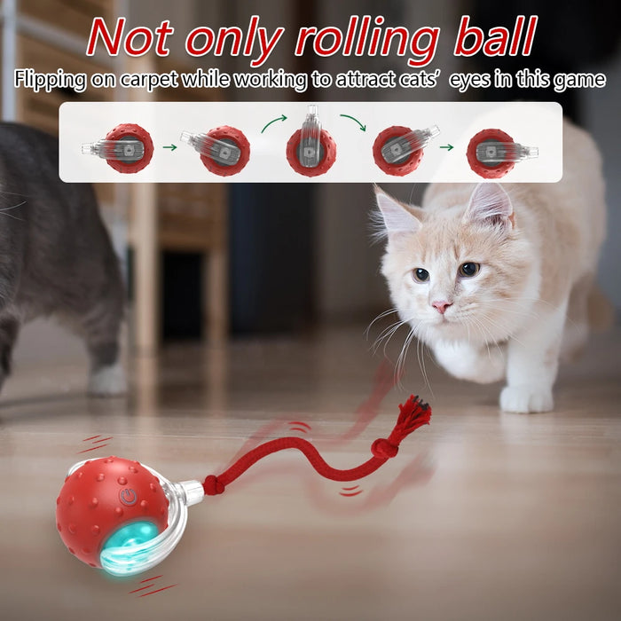 Interactive Cat Toy Ball Super Drive Cat Rolling Balls with Bird Chirping Motion Activated Sensor Pet Kitten Teaser Game Toys - Small to Tall Pet Co.