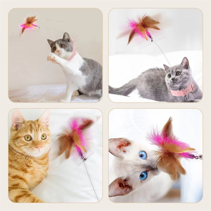 Interactive Cat Toys Funny Feather Teaser Stick with Bell Pets Collar Kitten Playing Teaser Wand Training Toys for Cats Supplies - Small to Tall Pet Co.