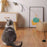 Simulation Bird Interactive Funny Cat Stick Toy Furry Feather Bird With Bell Sucker Cat Stick Toy Kitten Playing Pet Accessories - Small to Tall Pet Co.