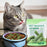 Cat Grass Teething Stick Cat Grass Stick Catnip Toys Sticks Indoor Kitten Grass Cats Promotes Digestive Natural Teeth Health - Small to Tall Pet Co.