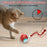 Interactive Cat Toy Ball Super Drive Cat Rolling Balls with Bird Chirping Motion Activated Sensor Pet Kitten Teaser Game Toys - Small to Tall Pet Co.