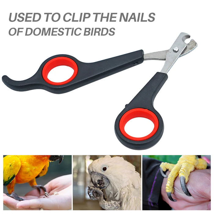 Pet Bird Parrot Small Animals Accessory Grooming Tool Nail Scissors Clipper Black And Red - Small to Tall Pet Co.