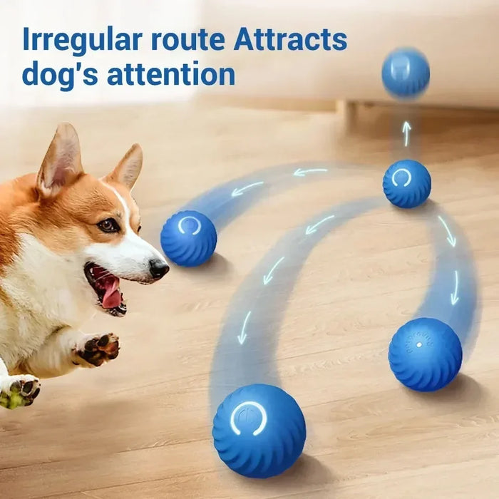 Smarts Dog Toy Ball Automatic Electronic Interactive Training Pet Toy Gravity Moving Ball Rechargeable Active Rolling Ball Toys - Small to Tall Pet Co.