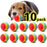 10pcs Pet Toy - Small to Tall Pet Co.