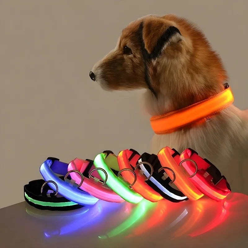 LED Dog Collar – Night Safety, Glow-in-the-Dark, Flashing Light for Pets