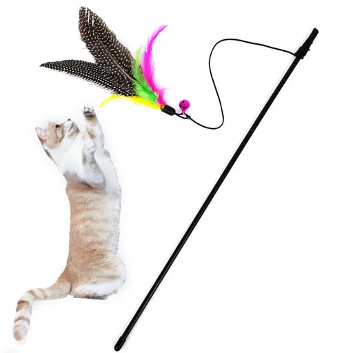 Funny Kitten Cat Teaser Interactive Toy Rod with Bell and Feather Toys for Cats Teaser Interactive Toy Rod Pet Cats Toys Stick - Small to Tall Pet Co.