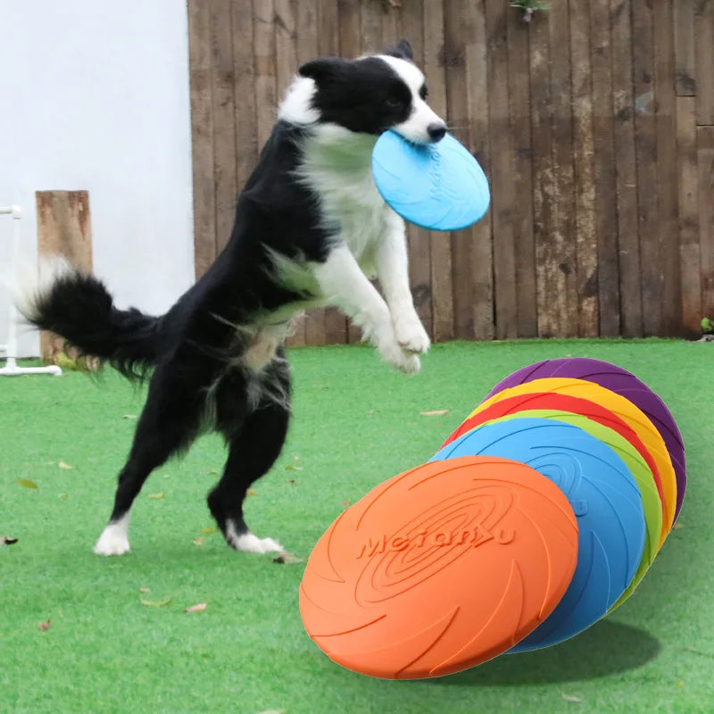 OUZEY Bite Resistant Flying Disc Toys For Dog Multifunction Pet Puppy Training Toys Outdoor Interactive Game Pet Dogs Products - Small to Tall Pet Co.