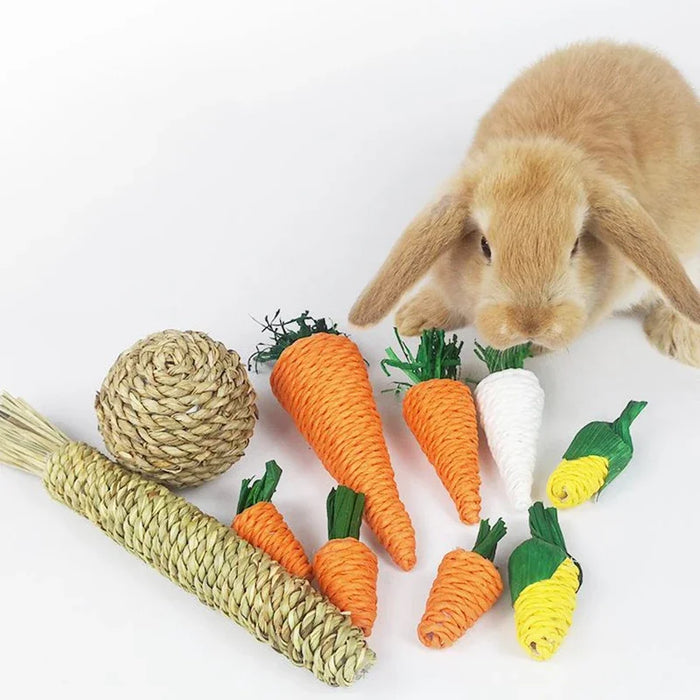 Hamster Rabbit Chew Toy Bite Grind Teeth Toys Corn Carrot Woven Balls for Tooth Cleaning Radish Molar Toys Pet Supplies 1pc - Small to Tall Pet Co.