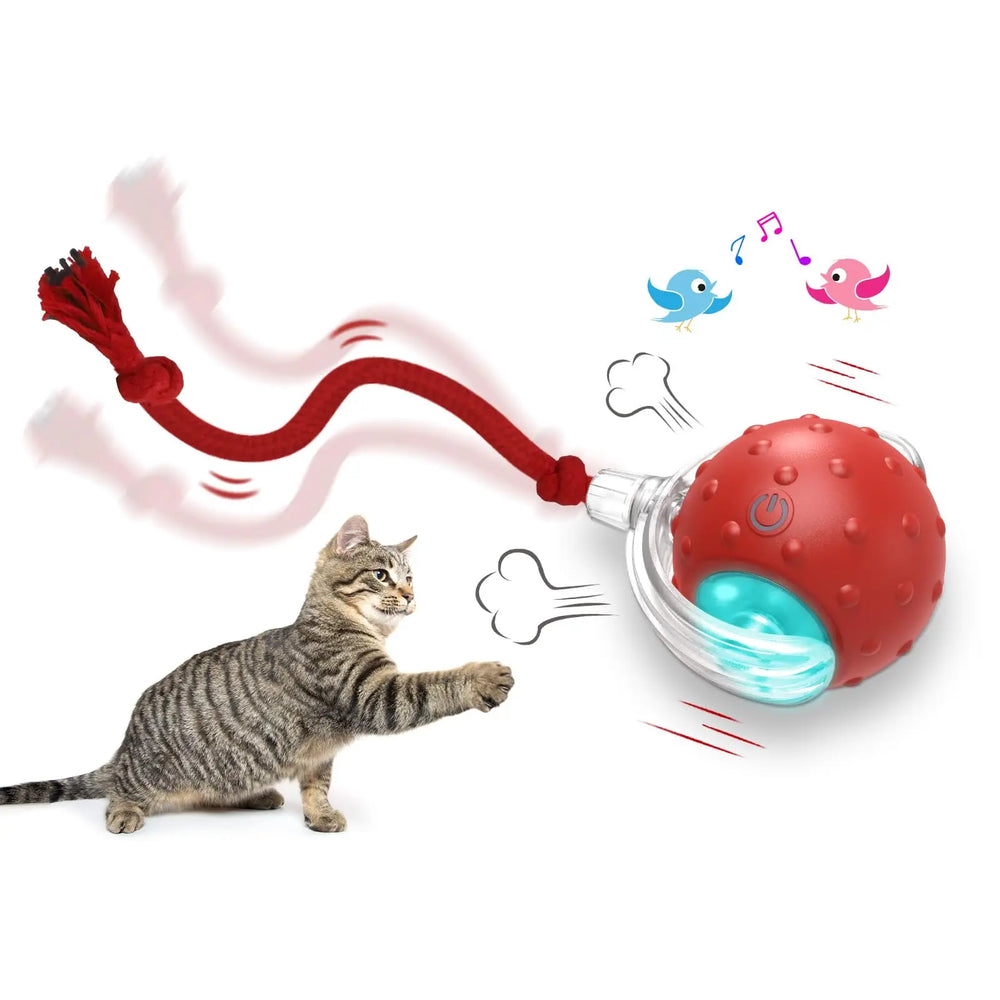 Interactive Cat Toy Ball Super Drive Cat Rolling Balls with Bird Chirping Motion Activated Sensor Pet Kitten Teaser Game Toys - Small to Tall Pet Co.